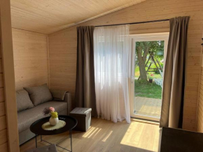 Pajūrio pušelės, Palanga